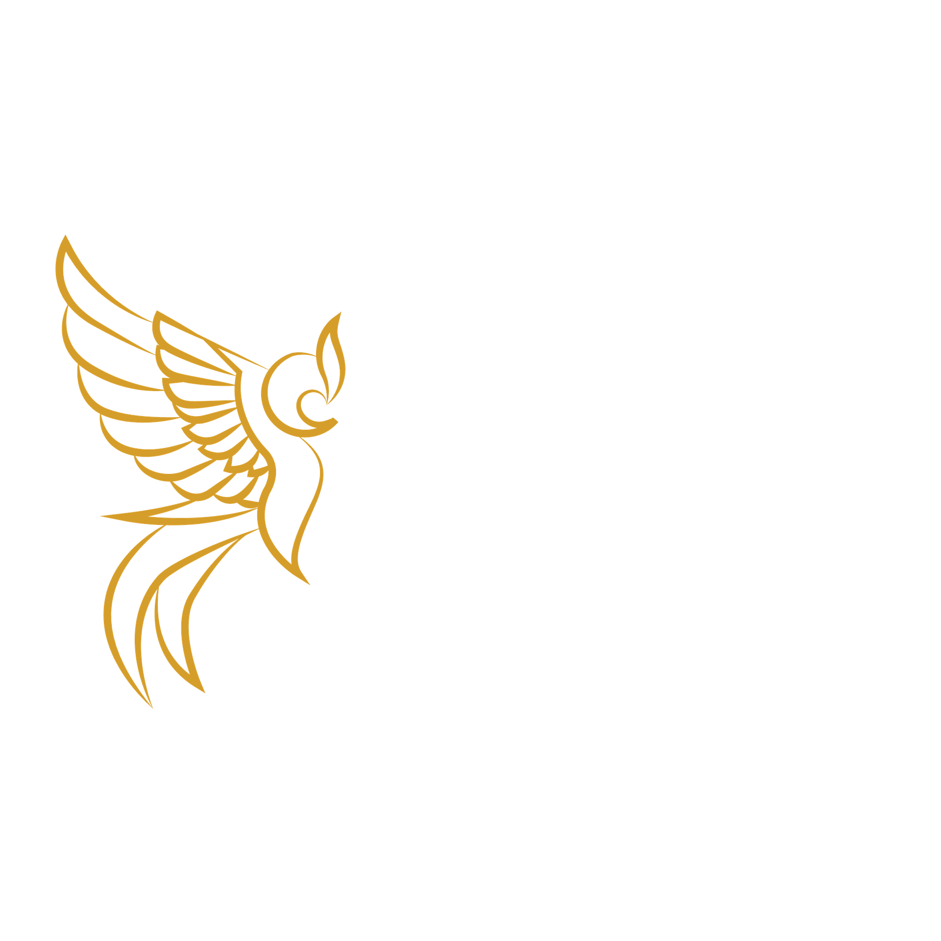 Dorado Concierge Group